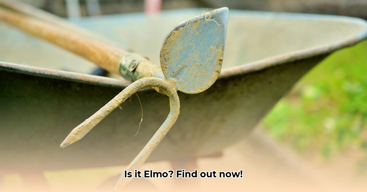 hoe-heet-het-rode-monstertje-uit-sesamstraat